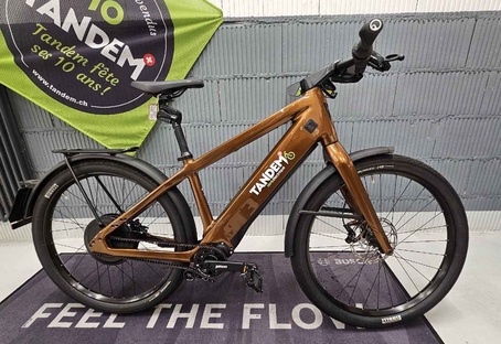 ST3 Sport Pinion 983Wh (vélo test)